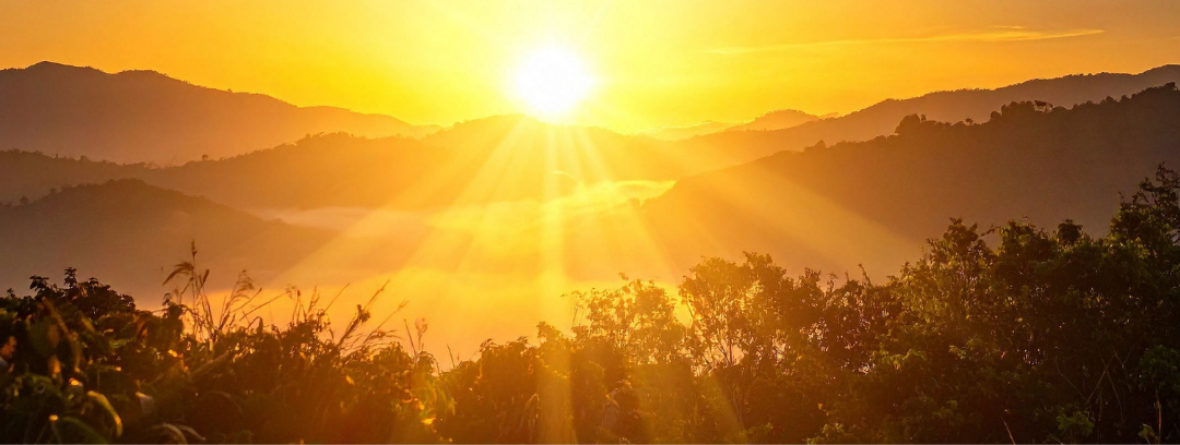The Power of Clarity Illuminating Your Path to Success