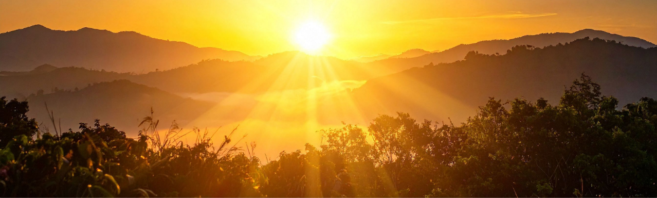 The Power of Clarity Illuminating Your Path to Success