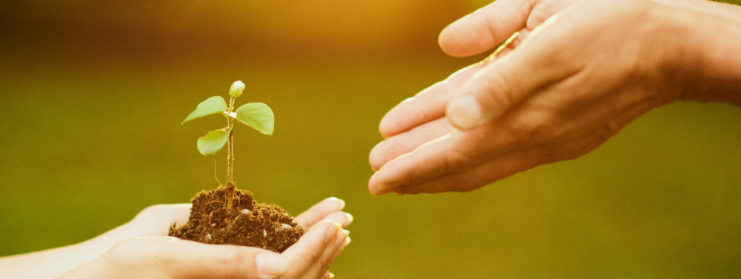 Embracing Growth The Transformative Power of Stepping Outside Your Comfort Zone