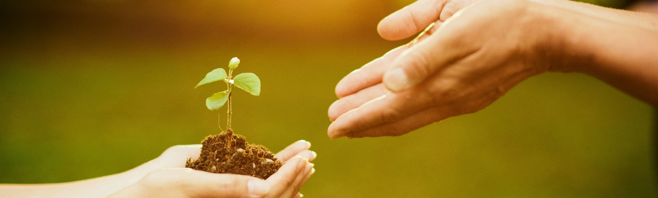 Embracing Growth The Transformative Power of Stepping Outside Your Comfort Zone